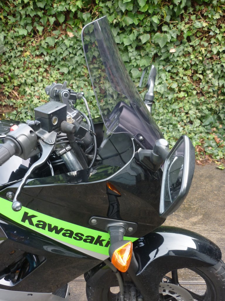 Kawasaki GPX 250 88-06 » Screens For Bikes