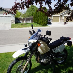 screens for bikes dr650